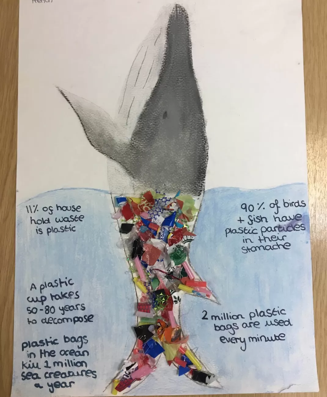 Gracie's climate change poster makes top five