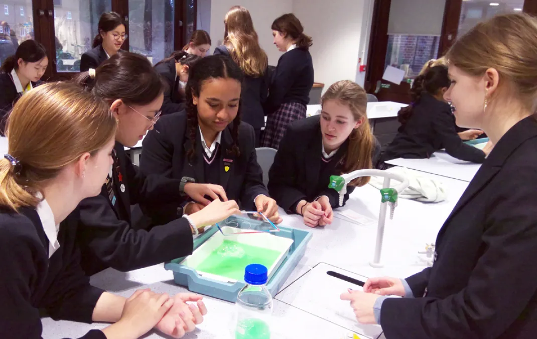 Biology Society uses bubble experiment to explain cell membrane complexity to Year 10s