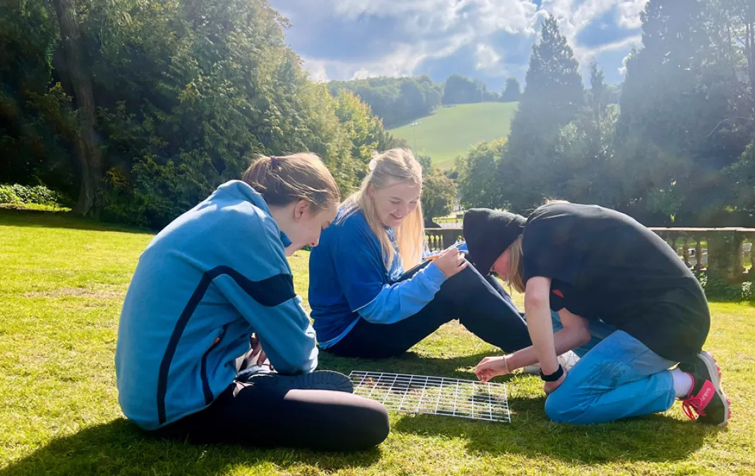 Biologists make the most of Woldingham’s 700 acres for A Level fieldwork