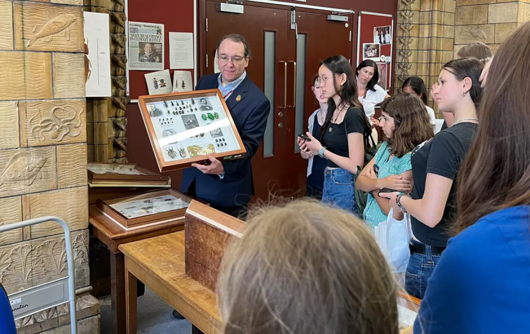 STEM Live talk and behind the scenes museum tour reveal the brilliance of beetles