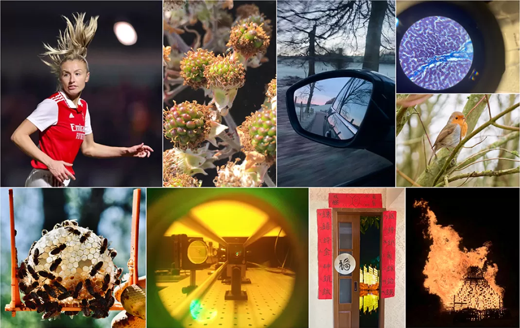 Winning photographs capture a wonderful variety of STEM-related subjects